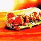 CryptoChumpo