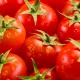 TomatoesTomatoes