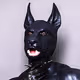 THEWOLFOFBALLMEAT-VAULT