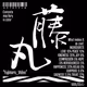 Fujimaru_Video
