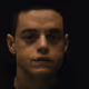 JayFlea