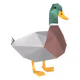 LowPolyDuck