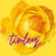Tinley_garden