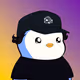 CryptoRaiz