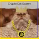 CryptoSolly