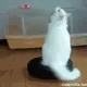 UnaRhoomba
