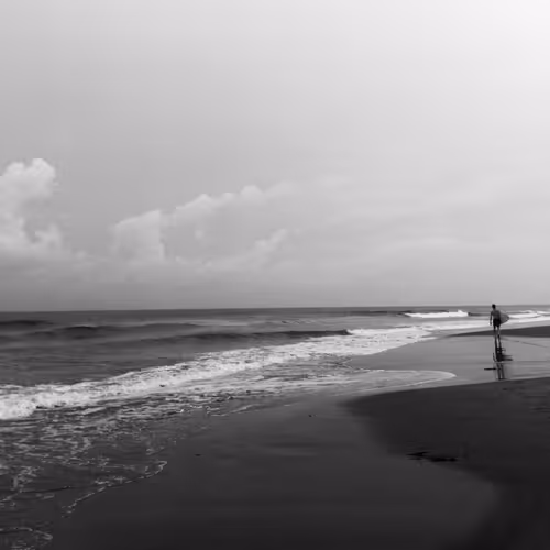 OpenSea profile picture for @Surfboard