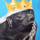 BadgerKing