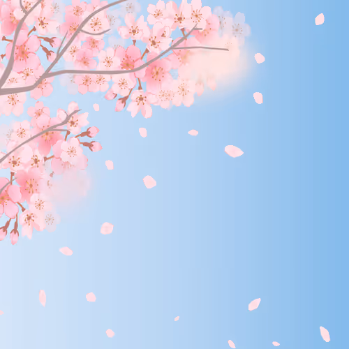 OpenSea banner for @sajawal