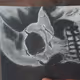 RealisticDraw25