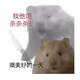 xiaohuihui123