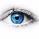 Umoment