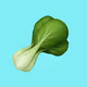 babybokchoy