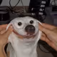 0xb6cc83027f6d1b7cd2b6251f7531eebce4dbadec