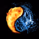 Crypto-Euphoria