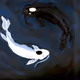 _Koi