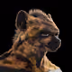 KingSaSa