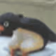 0xb737db806c0113022f4d3186138a23086e9e5c7e