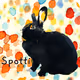 spotti