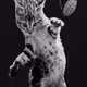 A-Kat2