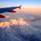 nftflight