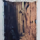 ThePolaroidGuy