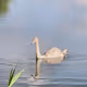 yanuklarmahlessi