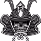 BVH666