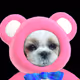 maimaip