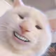 VibeCatonFire