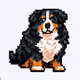 WoofCAMPer