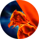 CryptoTengu
