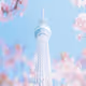 Japanphotos