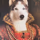 Sasha33_NFT