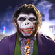 Dr_fatch