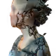 digitalcoleman