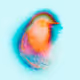 KRPDM