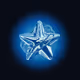 Starsi