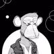 Shutter_Ape