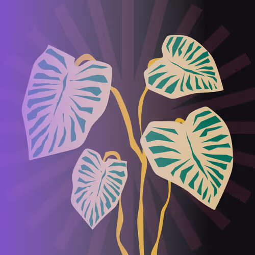 OpenSea profile picture for @Priyanshu