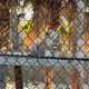 Maxkmark