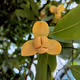 wwwwwe