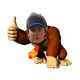 Bonk_NFTs