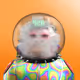 CryptoBeaster