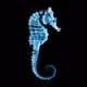FibonacciSeahorse