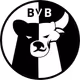 BVB_Main
