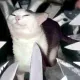 Pixel_Litterbox