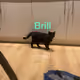 KomedownKeat