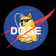 TheDogeX