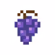 Grape5